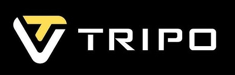 Tripo AI